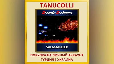 Arcade Archives SALAMANDER PS4/PS5/PS Турция/Украина