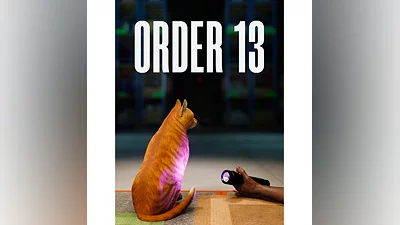 ORDER 13 стим ключ Весь Мир РФ Россия СНГ RU/CIS