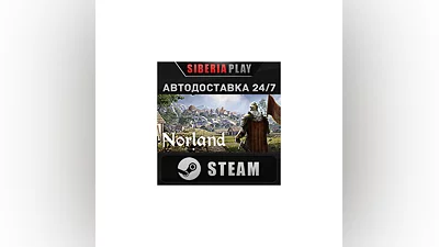Norland STEAM АВТО RU/UA/KZ/СНГ