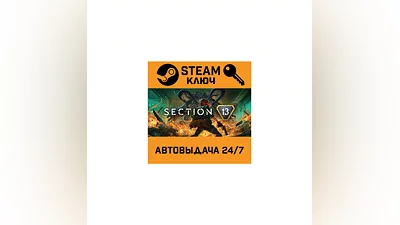 Section 13. STEAM-ключ (Global)