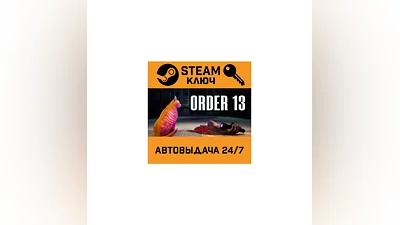 ORDER 13. STEAM-ключ (Global)