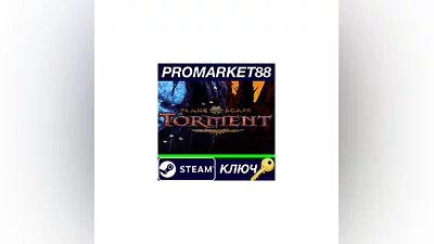 Planescape: Torment Enhanced Edition EU Steam КЛЮЧ