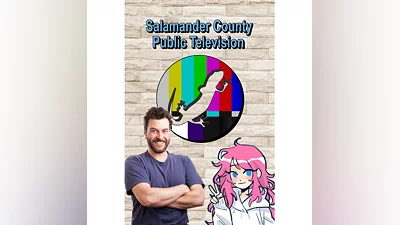 Salamander County Public Television  XBOX  Быстро