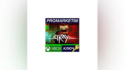 Stray US XBOX One / Xbox Series X|S КЛЮЧ  США