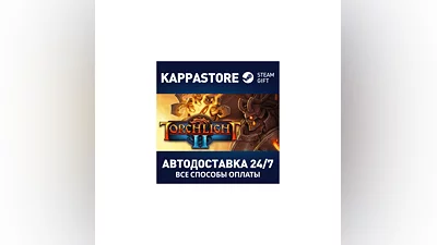 Torchlight | Steam Gift Россия