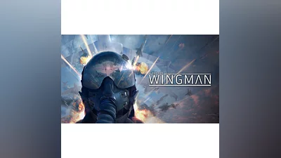 Project Wingman (Steam Gift РОССИЯ УКРАИНА КАЗАХСТАН)