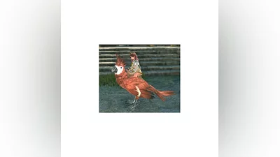 Elyon Launch Celebration Key ( Red Parrot mount )