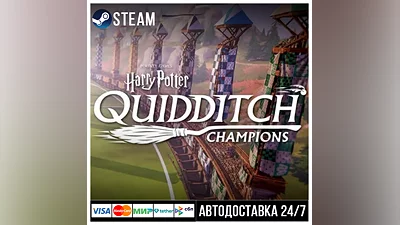 Harry Potter Quidditch Champions СТИМ Steam Gift