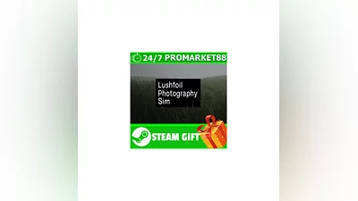 ️ВСЕ СТРАНЫ+РОССИЯ ️ Lushfoil Photography Sim STEAM