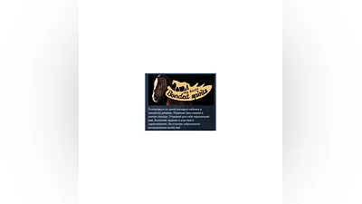 My Horse: Bonded Spirits АВТОДОСТАВКА STEAM РОССИЯ