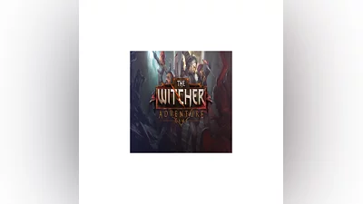 The Witcher Adventure Game   GOG   (PC)