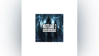 Wasteland 3: Colorado Collection   GOG   (PC)
