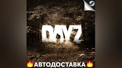 DayZ - STEAM RU / Выбор региона АВТО