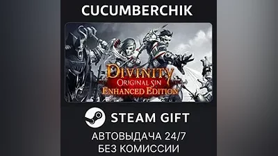 Divinity: Original Sin Enhanced Edition STEAM GIFT AUTO RU+МИР
