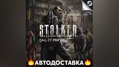 S.T.A.L.K.E.R.: Зов Припяти - STEAM RU / АВТО