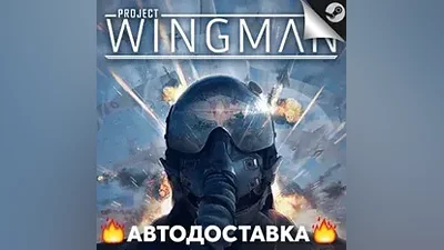 Project Wingman - STEAM RU / Выбор региона АВТО