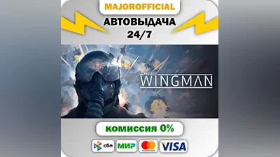 Project Wingman АВТОДОСТАВКА Steam GIFT