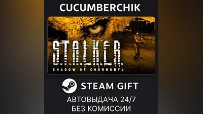 STALKER: Shadow of Chernobyl STEAM GIFT AUTO RU+МИР