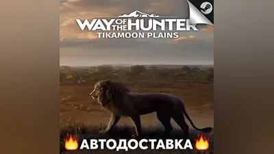 Way of the Hunter - STEAM RU / Выбор региона АВТО