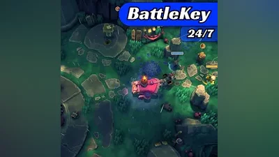 Wild Woods | STEAM RU | АВТОМАТИЧЕСКИ 24/7