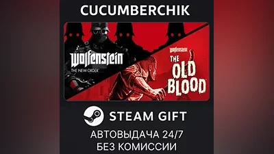 Wolfenstein: The Two Pack STEAM GIFT AUTO RU+МИР