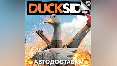 Duckside - STEAM RU / Выбор региона АВТО
