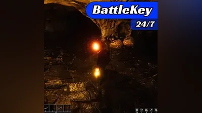 The Last Plague: Blight | STEAM RU | АВТОМАТИЧЕСКИ 24/7