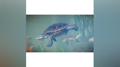 Planet Zoo - Aquatic Pack   Steam DLC   Весь мир
