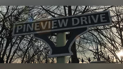 Сборник Pineview Drive