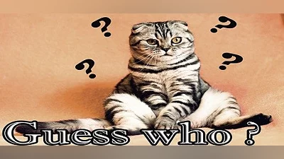 Сборник Guess who ?