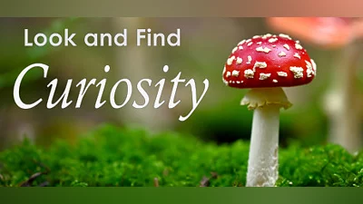 Сборник Look and Find - Curiosity