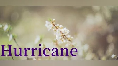 Сборник Hurricane