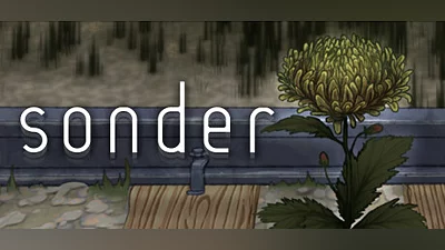 Сборник Sonder