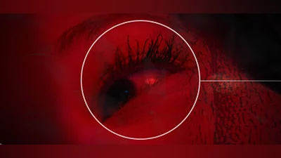 Сборник Project C██████