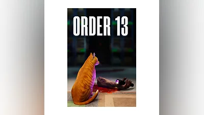 ORDER 13 (STEAM Ключ)