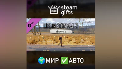 DLC Life is Strange 2 - Episode 4 МИР АВТО