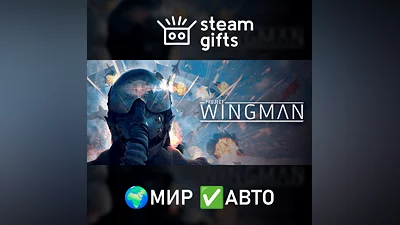 Project Wingman МИР АВТО