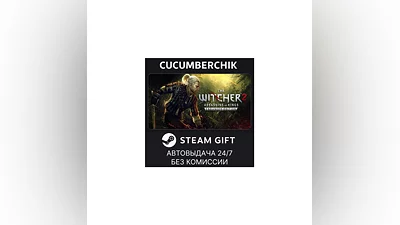 The Witcher 2 (RU) STEAM GIFT AUTO UA+МИР