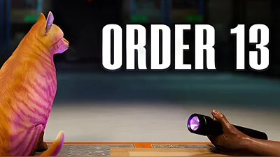 ORDER 13 (Steam)