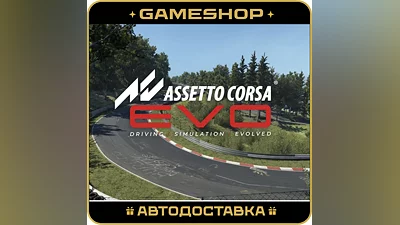 Assetto Corsa EVO RU-KZ-UA-СНГ АВТОДОСТАВКА 24/7
