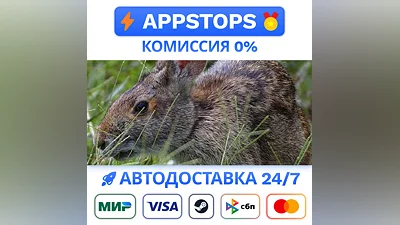 Warhammer 40,000: Dawn of War - Definitive Edition Stea