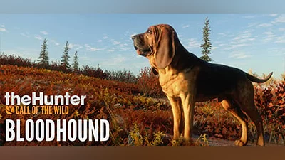 theHunter: Call of the Wild  - Bloodhound (Steam key)
