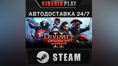 Divinity: Original Sin 2 STEAM АВТО RU/UA/KZ/СНГ
