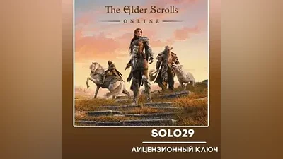 The Elder Scrolls Online Steam Ключ РФ+СНГ