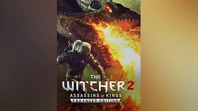 The Witcher 2: Assassins of King EE / GOG Key / GLOBAL | АВТОВЫДАЧА 24/7