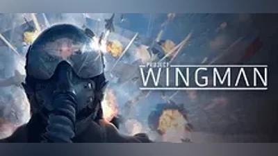 Project Wingman | АВТОДОСТАВКА Россия Steam