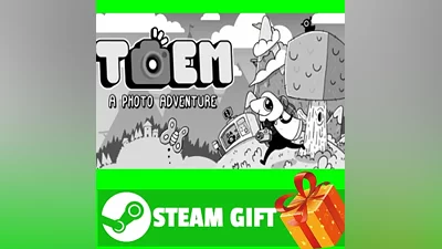 ВСЕ СТРАНЫ+РОССИЯ TOEM Steam Gift