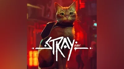 STRAY STEAM КЛЮЧ