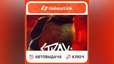 Stray - STEAM КЛЮЧ СНГ + РФ