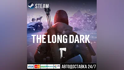 The Long Dark СТИМ Steam Gift